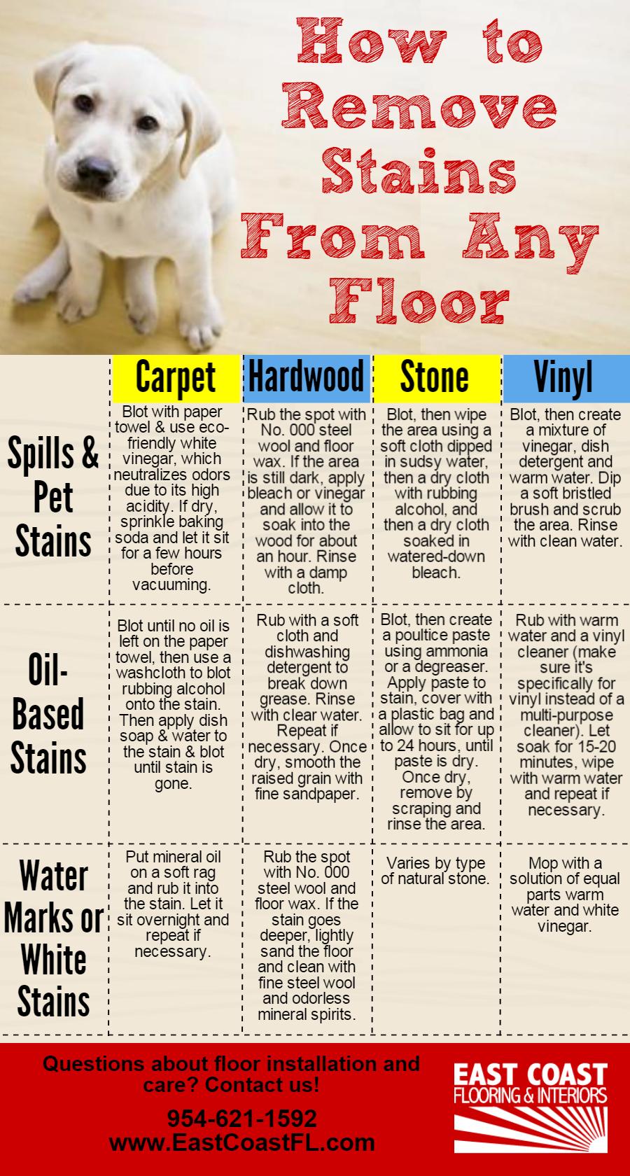 How to remove stains from carpet, vinyl, stone any hardwood flooring infographic