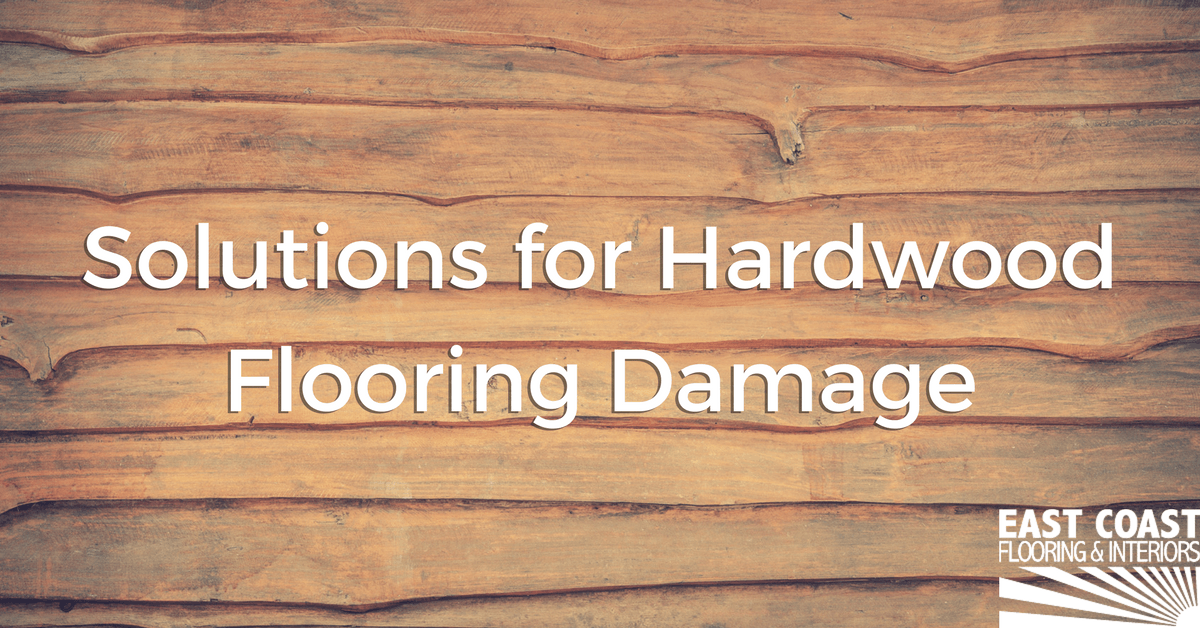 Hardwood Flooring Damage | EAst Coast Flooring & Interiors