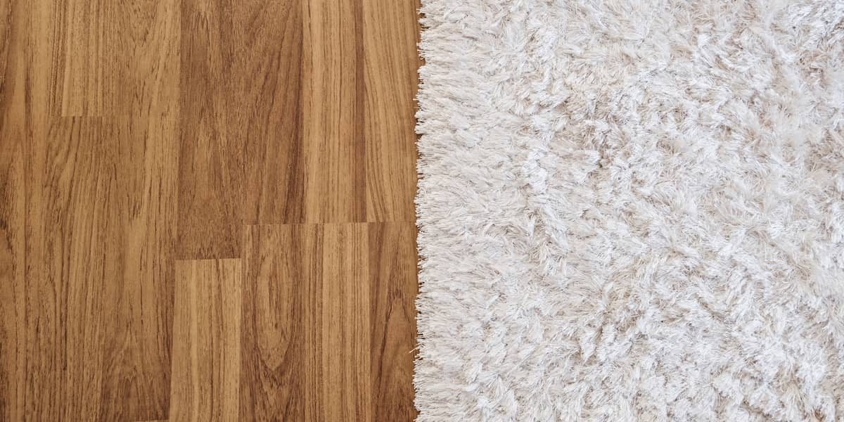 Close-up image of a white wool carpet next to wooden flooring, illustrating the cost of wool carpet and its integration with home flooring designs.