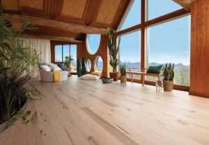 A living room with wood floors and a view of the mountains featuring the Natural Collection by Mirage Floors