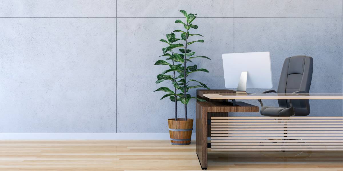 Remodel Flooring for Office Space with a beautiful plant and desk on the side.