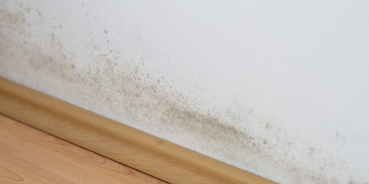 Mold build up is a priority in things to consider when replacing flooring 101.